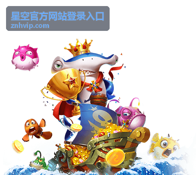 星空官方网站登录入口安全保障